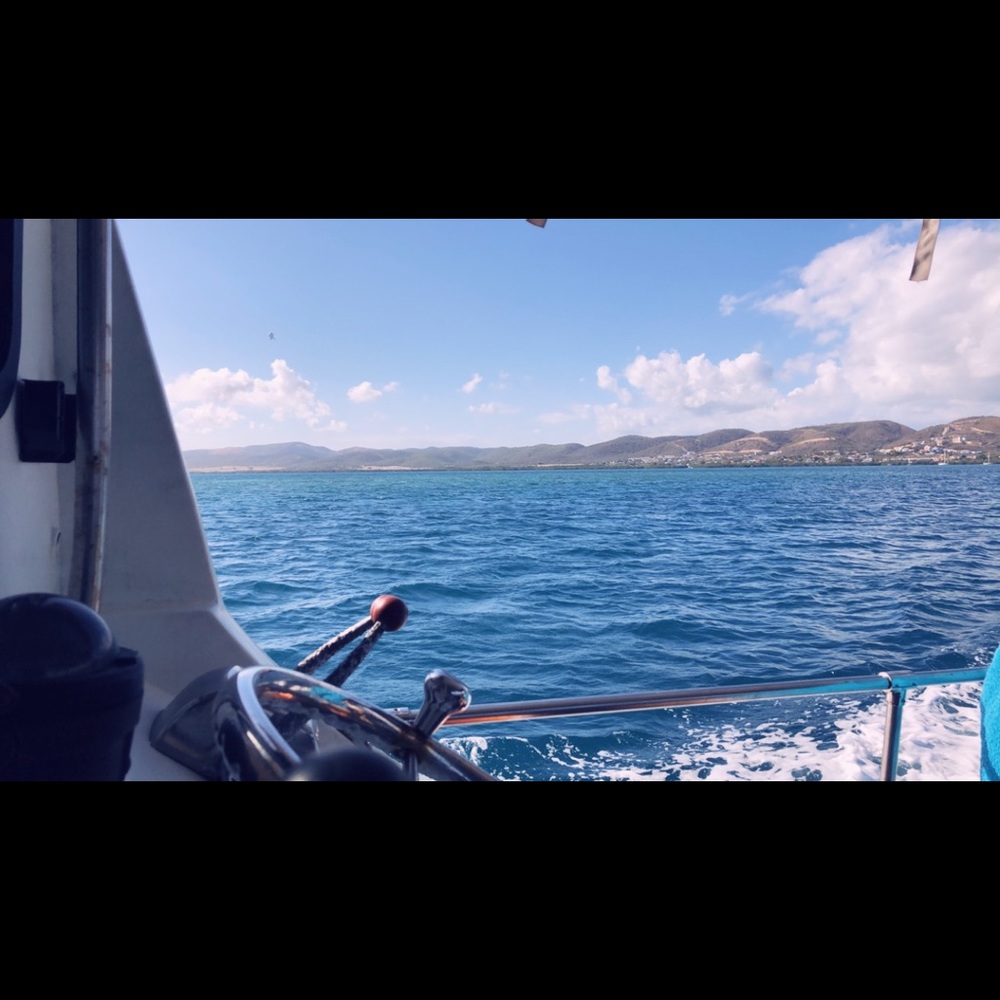 Meet your Posher, Desarea